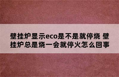 壁挂炉显示eco是不是就停烧 壁挂炉总是烧一会就停火怎么回事